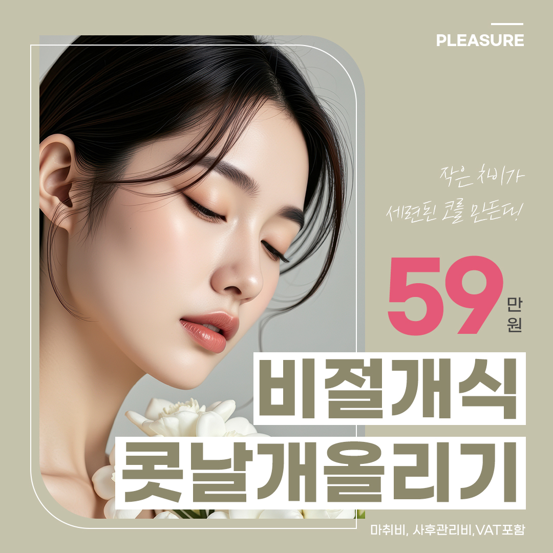 플레저 콧날개올리기 성형