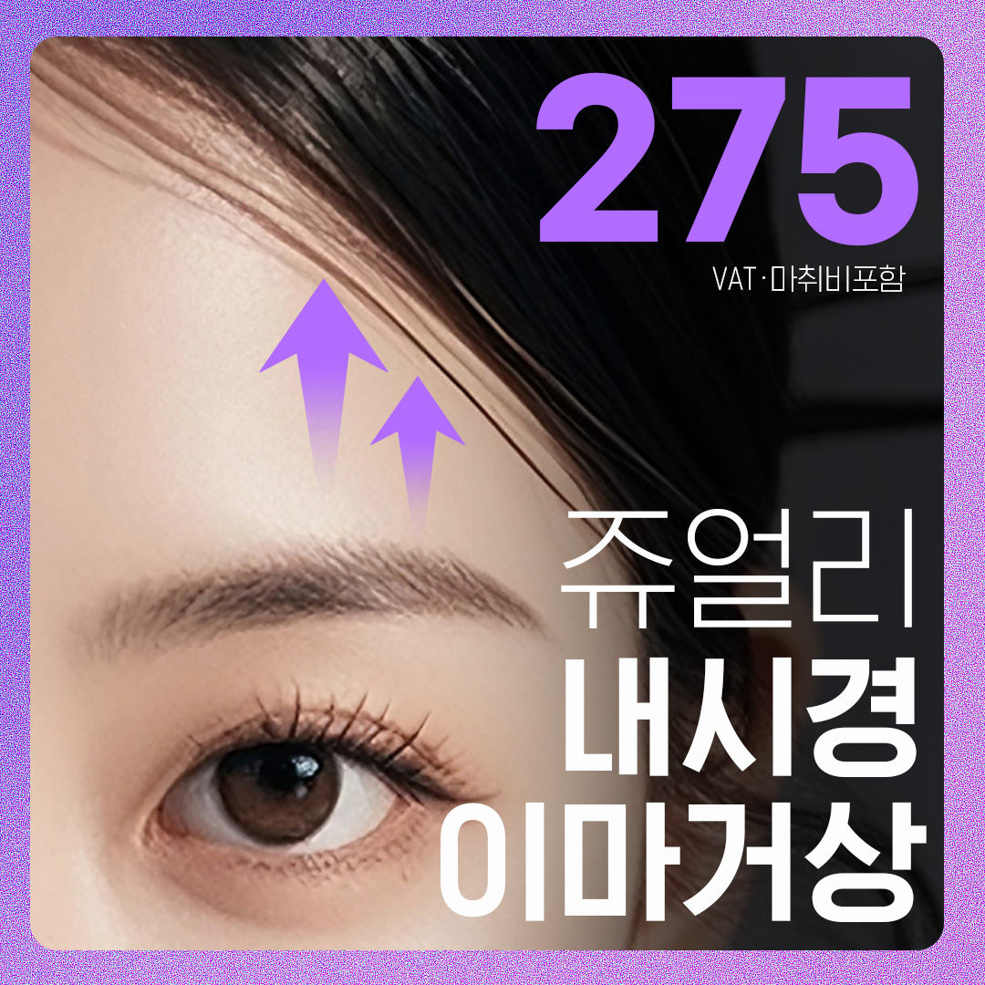 풀 HD 내시경 이마거상 