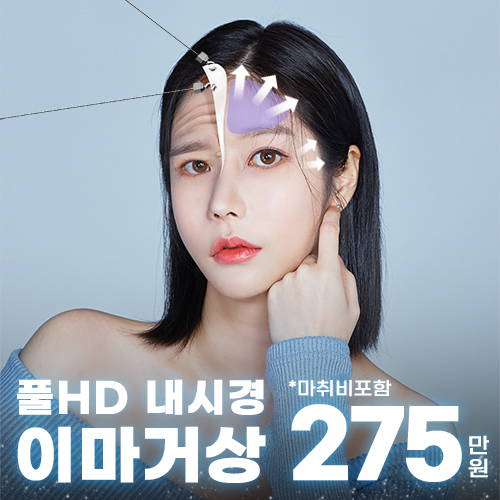 풀HD 내시경이마거상